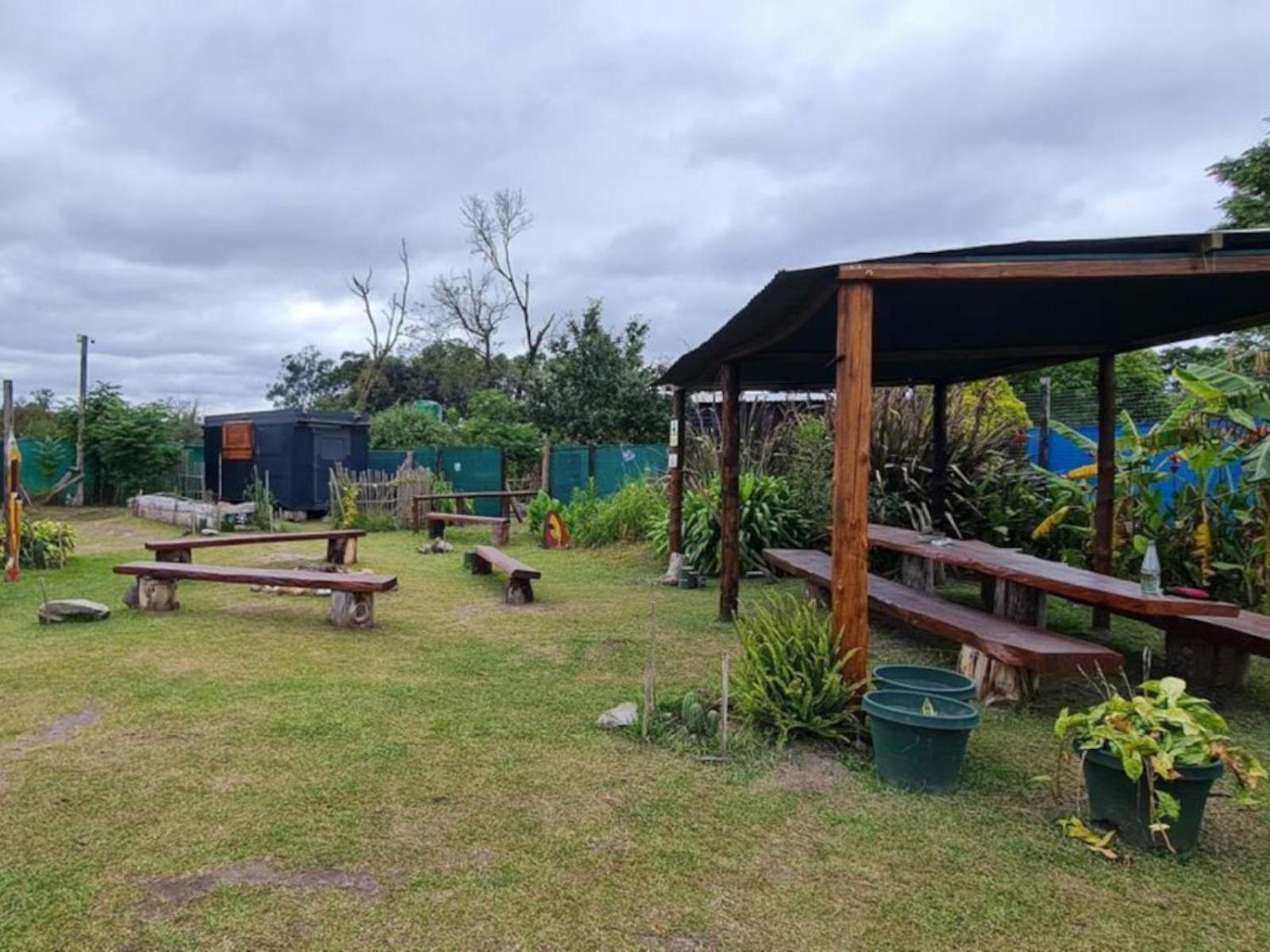 Tsitsikamma Wolf Sanctuary Eco Cabins & Teepees Stormsrivier Exterior photo