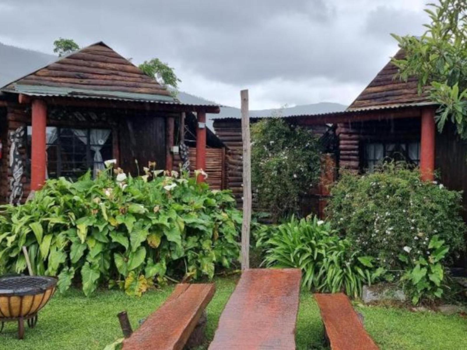 Tsitsikamma Wolf Sanctuary Eco Cabins & Teepees Stormsrivier Exterior photo